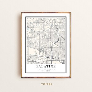 Mappa di Palatine, Illinois, mappa di Palatine, IL, mappa della città di Palatine, stampa di Palatine, poster di Palatine, arte di Palatine, mappa di Palatine