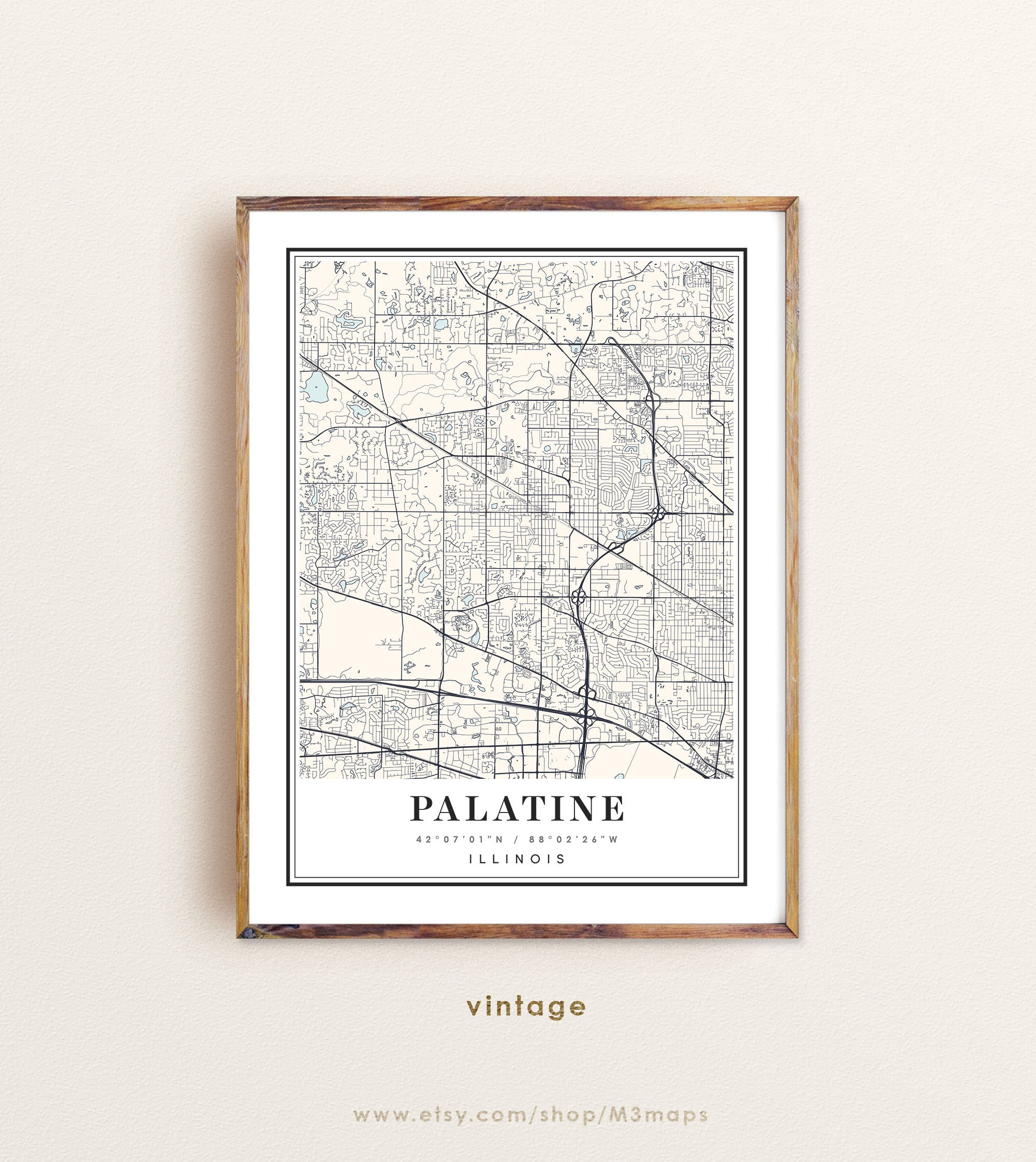 Palatine Illinois Map Art Print: City Map Poster
