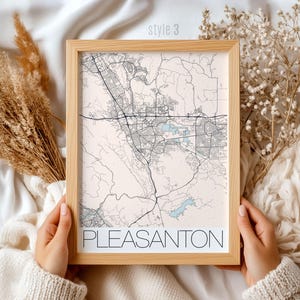Vintage Pleasanton California Map Print: Detailed City Street Art