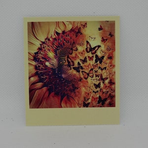 Tournesol| Ukraine | Image| Image des papillons | Mini carte photo | Carte postale
