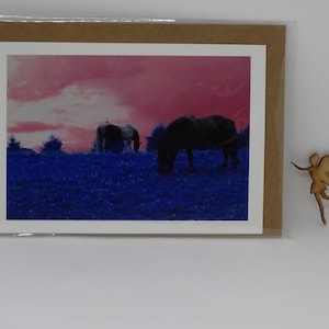 Caballos/ Postal