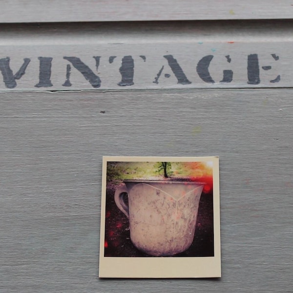 Teacup Image| Mini Photocard