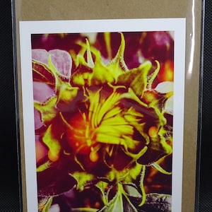 Carte postale de bourgeon de tournesol
