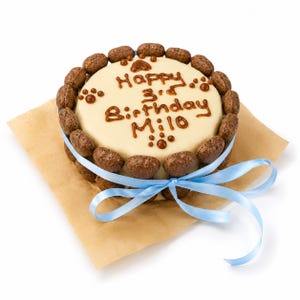 May include: A round cake with a smooth white icing top, featuring brown piped text that reads Happy 3rd Birthday Milo and paw prints. The sides are bordered with brown cereal pieces, and a light blue ribbon is tied around the base.