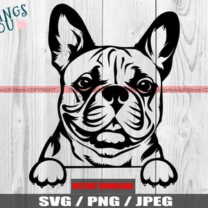Französische Bulldogge, Französische Bulldogge SVG, Frenchie SVG, Frenchie Silhouette, Frenchie-Liebhaber, süß spähende französische Bulldogge SVG, Silhouette, Cricut