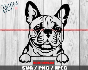 French Bulldog, French Bulldog SVG, Frenchie SVG, Frenchie Silhouette, Frenchie Lovers, Cute Peeking French Bulldog Svg, Silhouette, Cricut