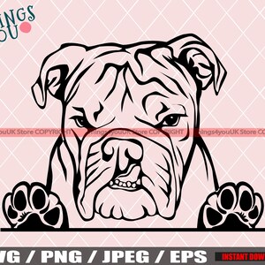 English Bulldog SVG, Cute Baby English Bulldog, Bulldog Svg, Bulldog Cricut File, Peeking Bulldog, Bulldog Breed, Bulldog Svg File, Dog Svg