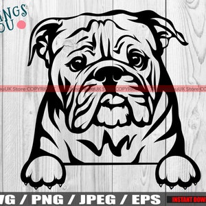 English Bulldog SVG, Bulldog SVG, Bulldog Mom, English Bulldog Mom, Bulldog Silhouette, Peeking Bulldog, Bulldog Lovers, Cricut, Silhouette
