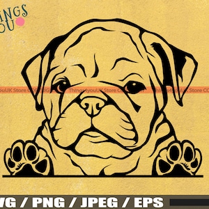Bouledogue anglais SVG, bouledogue SVG, bouledogue maman, bébé bouledogue Svg, bouledogue Silhouette, furtivement bouledogue, bouledogue amoureux, Cricut, Silhouette