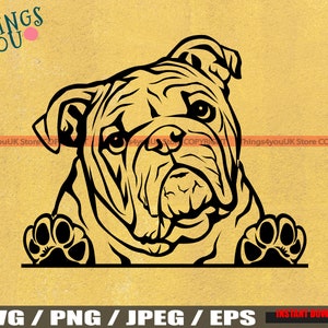 English Bulldog SVG, Old English Bulldog, Bulldog Svg, Bulldog Cricut Cut File, Peeking Bulldog, Bulldog Breed, Bulldog Svg File, Dog Svg