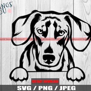 Teckel SVG, Teckel Clipart, Teckel Peeking Dog, Teckel Liefhebbers, Teckel Iron On, Teckel Cricut, Silhouet, Hond Clipart