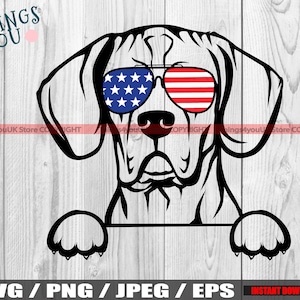 Portuguese Pointer SVG, Pointer Dog Svg, Portuguese Dog, Peek A Boo, Portuguese Pointer Cricut Cut FIle, Portuguese Pointer Silhouette Png