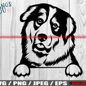 Great Pyrenees SVG, Peeking Great Pyrenees Dog, Peek A Boo, Great Pyrenees Vector, Great Pyrenees Lovers, Silhouette, Cricut Design, Iron On