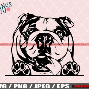English Bulldog SVG, English Bulldog, Bulldog, Old English Bulldog, Cute English Bulldog, Dog, Circut Cut File, Svg, Jpeg, Eps, Png