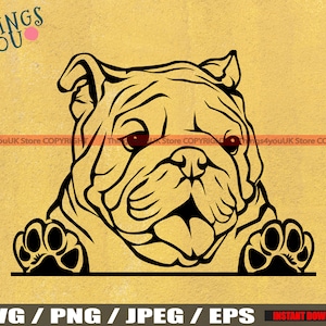 English Bulldog SVG, Cute Baby English Bulldog, Bulldog Svg, Bulldog Cricut File, Peeking Bulldog, Bulldog Breed, Bulldog Svg File, Dog Svg