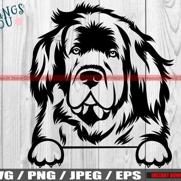 Newfoundland SVG, Newfoundland Dog Svg, Newfoundland Peek A Boo, Newfoundland Silhouette, Newfoundland Cricut Cut FIle, Newfoundland Clipart