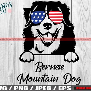 Berner SVG, Berner SVG, Berner Hunde sVG, SVG, Berner SVG, Berner Vektor, Silhouette, Cricut Datei, Bügelbild