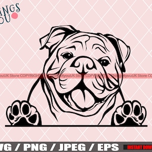 English Bulldog SVG, Old English Bulldog SVG, Bulldog Svg, Bulldog Cricut File, Peeking Bulldog, Bulldog Breed, Bulldog Svg File, Dog Svg