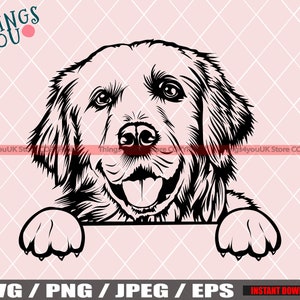 Golden Retriever Png Jpeg Eps, Golden Retriever Hund, Golden Retriever Hund, Golden Retriever Clipart, Hunderassen, Cricut geschnitten Datei, Download