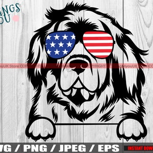 Newfoundland SVG, Newfoundland Dog Svg, Newfoundland Peek A Boo, Newfoundland Silhouette, Newfoundland Cricut Cut FIle, Newfoundland Clipart