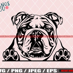English Bulldog SVG, Old English Bulldog SVG, Bulldog Svg, Bulldog Cricut File, Peeking Bulldog, Bulldog Breed, Bulldog Svg File, Dog Svg