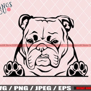 English Bulldog SVG, Old English Bulldog SVG, Bulldog Svg, Bulldog Cricut File, Peeking Bulldog, Bulldog Breed, Bulldog Svg File, Dog Svg