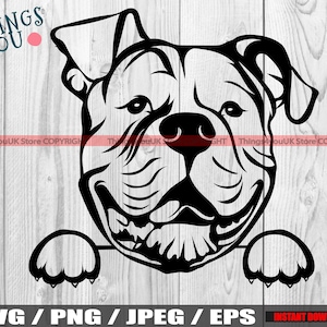 American Bulldog SVG, Bulldog SVG, Bulldog Mom, American Bulldog Mom, American Bulldog Silhouette, Peeking Bulldog, Bulldog Lovers, Cricut