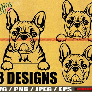 Französische Bulldogge, französische Bulldogge SVG, Frenchie SVG, Frenchie Silhouette, Bulldoggen, Frenchie Mama SVG, Frenchie Gesicht, niedlich spähen Frenchie