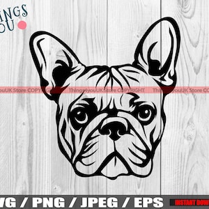 Französische Bulldogge, französische Bulldogge SVG, Frenchie SVG, Frenchie Silhouette, Frenchie Liebhaber, niedlich spähen französische Bulldogge SVG, Silhouette, Cricut