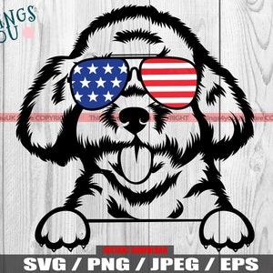 Poodle Dog SVG, Poodle In American Sunglasses, Cute Poodle Dog Svg, Peeking Poodle, Poodle Silhouette SVG, Poodle Cricut Cut Design