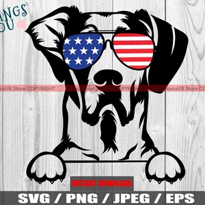 Great Dane SVG, Great Dane In Sunglasses Usa Flag, Great Dane Dog, Peeking Dog And Paws, Great Dane Silhouette, Great Dane Cricut, PNG, JPEG