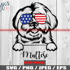 Maltese SVG, Peeking Maltese Dog, Dog And Paws, Maltese Png, Maltese Clipart, Maltese Lovers, Silhouette, Cricut, Printable, Iron On
