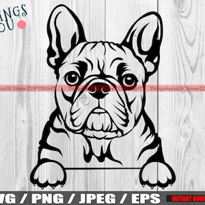 Französische Bulldogge, französische Bulldogge SVG, Frenchie SVG, Frenchie Silhouette, Frenchie Liebhaber, niedlich spähen französische Bulldogge SVG, Silhouette, Cricut