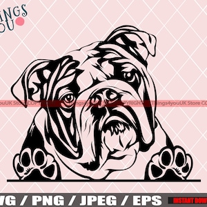 English Bulldog SVG, Cute Baby English Bulldog, Bulldog Svg, Bulldog Cricut File, Peeking Bulldog, Bulldog Breed, Bulldog Svg File, Dog Svg