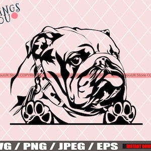 English Bulldog SVG, Cute Baby English Bulldog, Bulldog Svg, Bulldog Cricut File, Peeking Bulldog, Bulldog Breed, Bulldog Svg File, Dog Svg