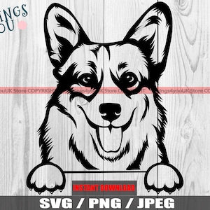Welsh Corgis Pembroke SVG, süße Corgis, Spähen Corgis SVG, Corgis Clipart, Corgis Silhouette, Corgis Cricut, Pembroke Welsh Corgis Lovers