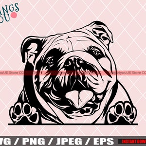 English Bulldog SVG, Old English Bulldog SVG, Bulldog Svg, Bulldog Cricut File, Peeking Bulldog, Bulldog Svg File, Dog Svg, Bulldog Breed