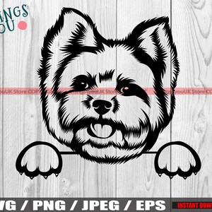 Yorkshire Terrier, Yorkshire Terrier SVG, Yorkie SVG, Peeking Yorkie Svg, Yorkie Cricut Cut File, Silhouette, Iron On, Yorkie Png, Clipart