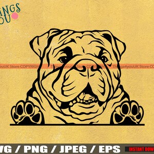 English Bulldog SVG, Old English Bulldog, Bulldog Svg, Bulldog Cricut Cut File, Peeking Bulldog, Bulldog Breed, Bulldog Svg File, Dog Svg