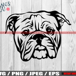 English Bulldog SVG, Bulldog SVG, Bulldog Mom, English Bulldog Mom, Bulldog Silhouette, Peeking Bulldog, Bulldog Lovers, Cricut, Silhouette