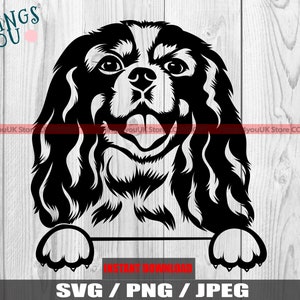 Cavalier King Charles SVG, Cavalier SVG, Cavalier King Charles, Cavalier Silhouette, Cricut, Bügelbild, Clipart, Cavalier King Charles Clipart