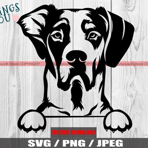 Great Dane SVG, Great Dane Mom, Great Dane Dad, Great Dane Clipart, Great Dane Peeking Dog, Silhouette, Cricut File, Iron On, Great Dane Dog