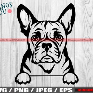 Französische Bulldogge, französische Bulldogge SVG, Frenchie SVG, Frenchie Silhouette, Frenchie Liebhaber, niedlich spähen französische Bulldogge SVG, Silhouette, Cricut