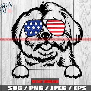 Maltese SVG, Peeking Maltese Dog, Dog And Paws, Maltese Png, Maltese Clipart, Maltese Lovers, Silhouette, Cricut, Printable, Iron On