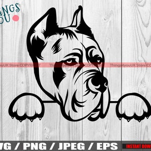 Cane Corso, Cane Corso SVG, Cane Corso Logo, Cane Corso Head, Peeking Cane Corso, Cane Corso Dog Svg, Silhouette, Iron On, Cricut Cut File