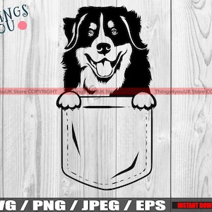 Berner Sennenhund SVG, Berner Sennenhund SVG, Berner Sennenhund in Tasche, Silhouette, Cricut, Berner Sennenhund Liebhaber
