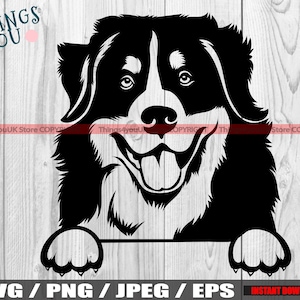 Berner Sennenhund SVG, Berner Hund, Berner Sennenhund SVG, Berner Sennenhund Clipart, Silhouette, Cricut