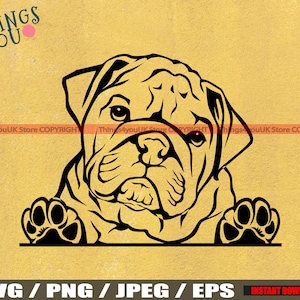 English Bulldog SVG, Old English Bulldog, Bulldog Svg, Bulldog Cricut Cut File, Peeking Bulldog, Bulldog Breed, Bulldog Svg File, Dog Svg