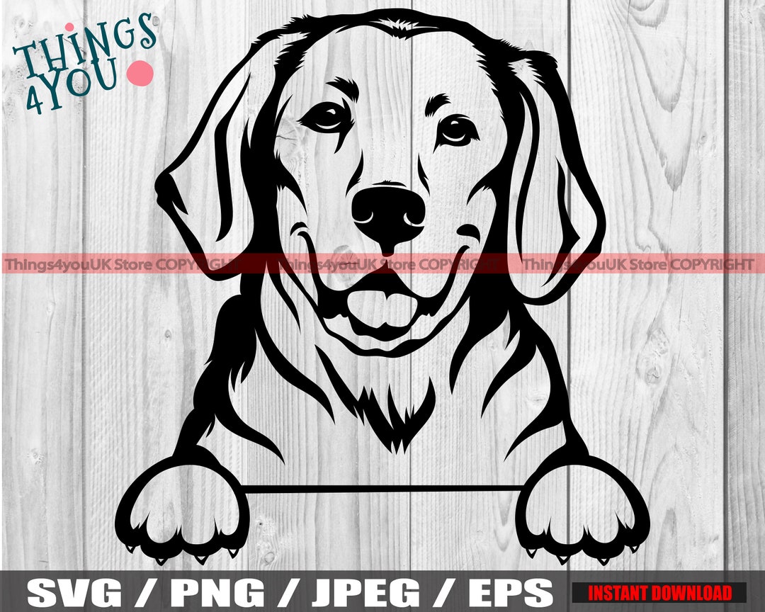 Golden Retriever SVG, Goldie, Golden Retriever liefhebbers, Golden Retriever  gluren hond, Goldie clipart, Cricut, silhouet, opstrijkbare, afdrukbare -  Etsy België, image size:1080x864