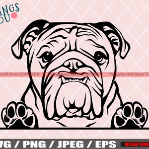 English Bulldog SVG, Old English Bulldog SVG, Bulldog Svg, Bulldog Cricut File, Peeking Bulldog, Bulldog Breed, Bulldog Svg File, Dog Svg